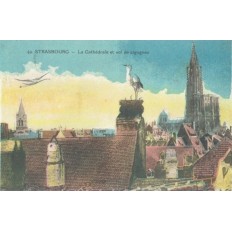 CPA - STRASBOURG - La Cathédrale & Vol De Cigognes - Années 1920