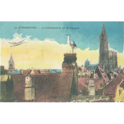 CPA - STRASBOURG - La Cathédrale & Vol De Cigognes - Années 1920