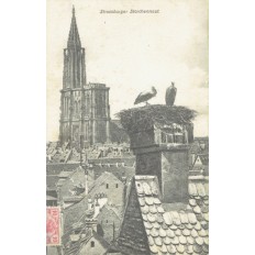 CPA - STRASBOURG - Strassburger Storchennest - Années 1900