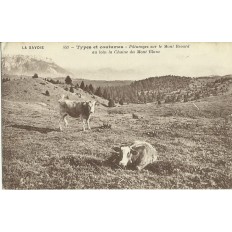 CPA: SAVOIE. PATURAGES SUR LE MONT REVAR. ANIMEE.ANNEES 1900/1910.