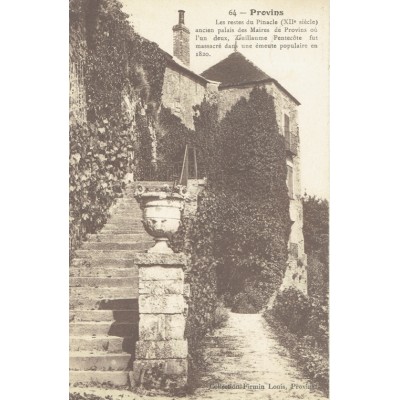 CPA - PROVINS - Les Restes Du Pinacle (XIIs) - Années 1920