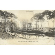 CPA: ROTHENEUF, LE BOIS DU LUPIN, vers 1900