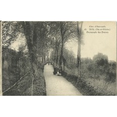 CPA: DOL, Promenade des Douves, années 1900