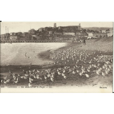 CPA: CANNES,les Mouettes sur la Plage, vers 1900