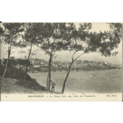 CPA: DOUARNENEZ, le Vieux Port vu des Plomarc'h , vers 1900