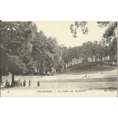 CPA: DOUARNENEZ, Enfants dans la Prairie des Plomarc'h , vers 1900