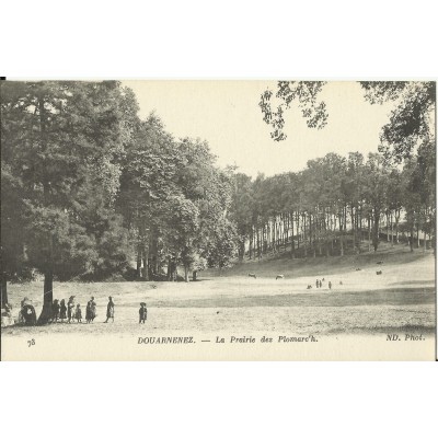 CPA: DOUARNENEZ, Enfants dans la Prairie des Plomarc'h , vers 1900