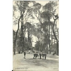 CPA: BREST, Le Cours d'Ajot (Enfants), vers 1900