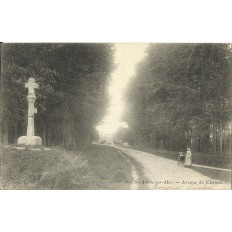 CPA: ST-AUBIN-sur-MER, Avenue du Chateau, vers 1900.