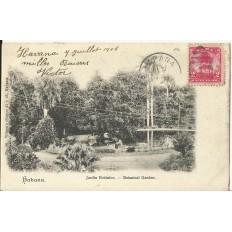 CPA: CUBA, LA HAVANE, Jardin Botanice, vers 1900 HABANO, Jardin Botanico